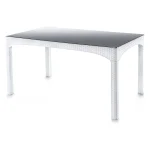 S-2589 Rattan Kapalı Camlı Masa (Temperli)